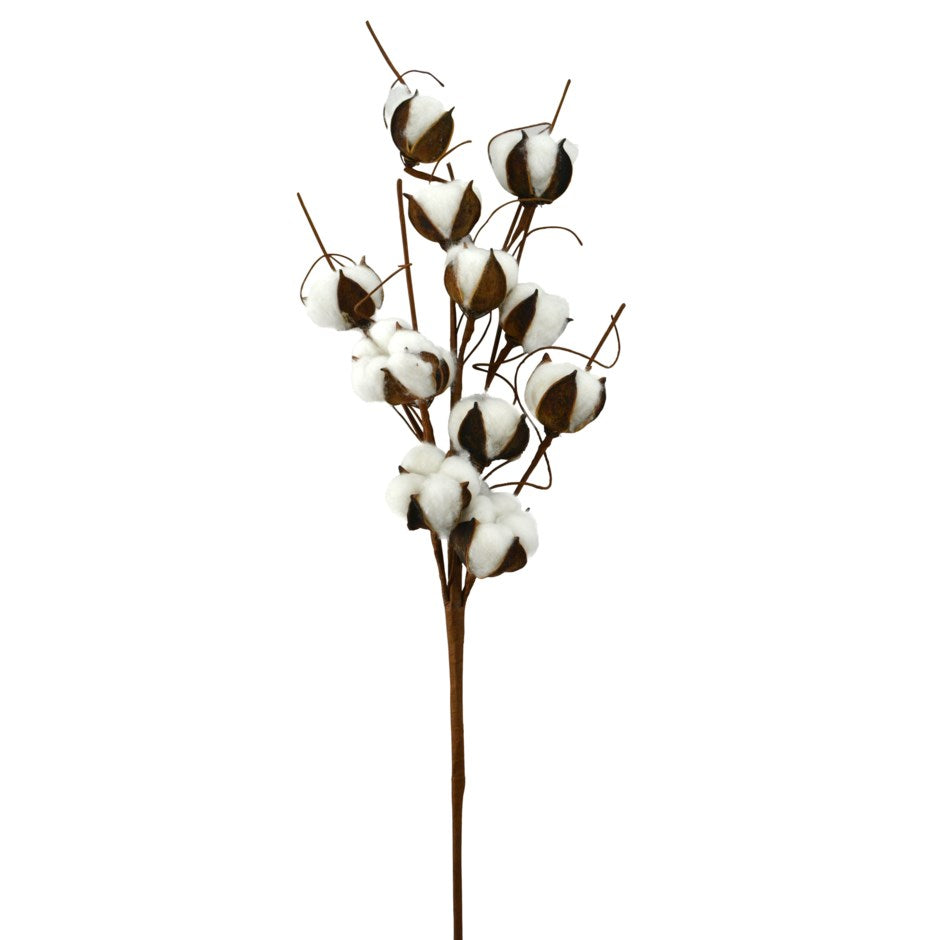 Cotton Flower Stem