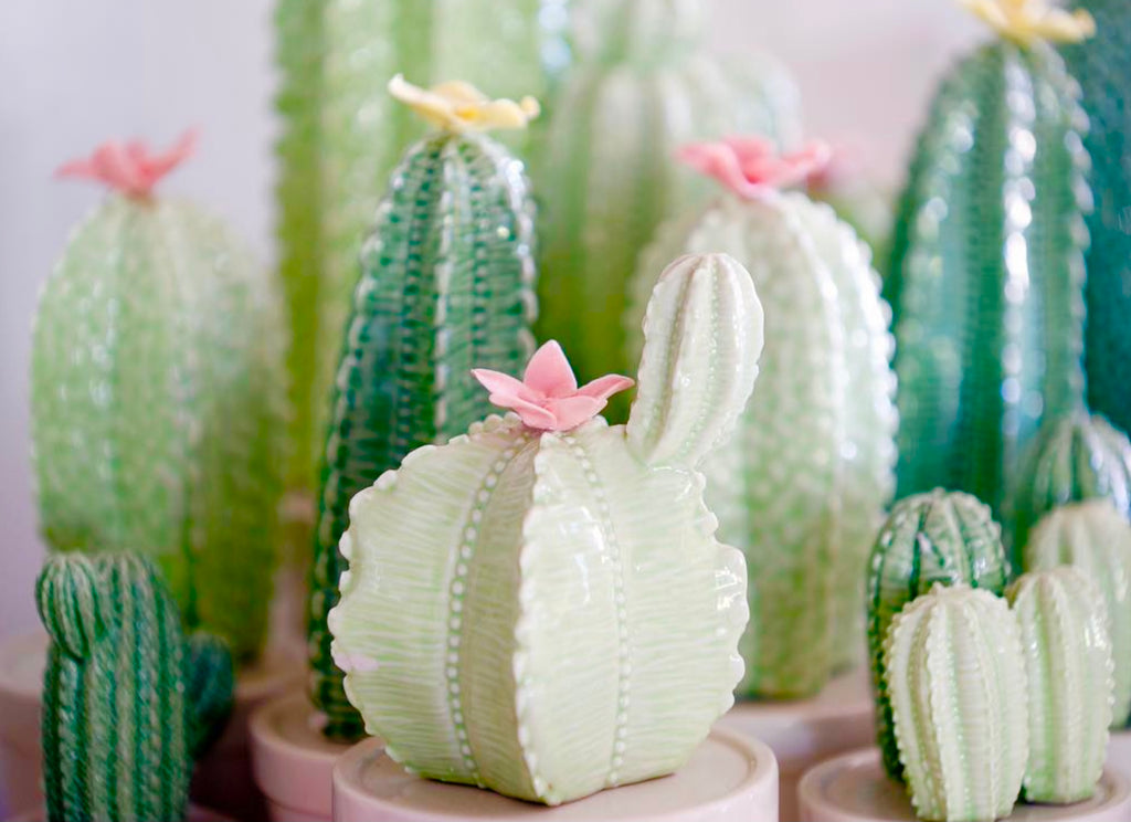 Cutie Cactus | Cluster